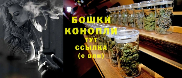 молекула духа Магас