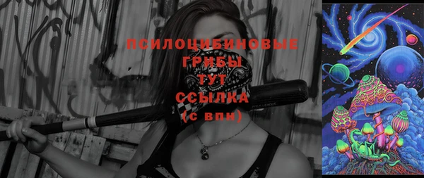 Альфа ПВП Майский